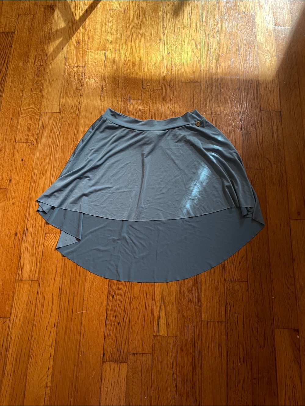 Bodile ballet skirt